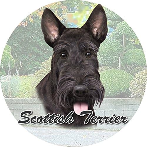 E & S Evcil Hayvanlar İskoç Terrier Coaster, 3 x 3, Siyah (231-35)