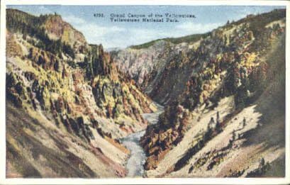 Yellowstone Ulusal Parkı, Wyoming Kartpostalı
