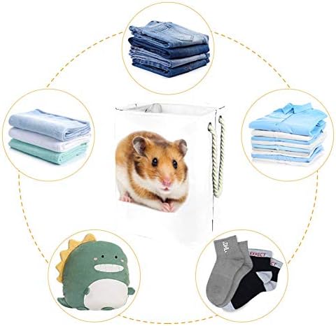Inhomer Çamaşır Sepeti Sevimli Hamster Katlanabilir çamaşır sepetleri Firma çamaşır Kutusu giysi saklama Organizasyon