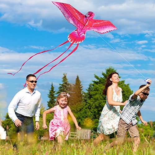 Nane Renkli Hayat Pembe Uçurtma Çocuklar Yetişkinler için, Büyük Flamingo Kuş Uçurtma Uçmak kolay Plaj Uçurtmalar