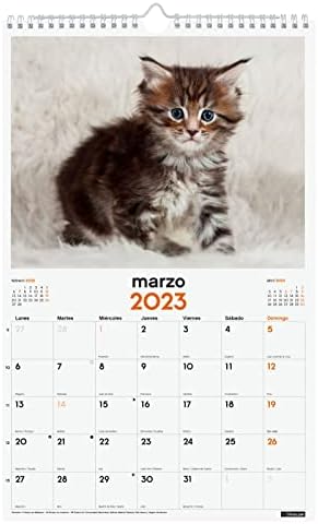 Finocam - Takvim 2023 Yazmak için Spiral Duvar Resimleri Ocak 2023-Aralık 2023 (12 ay) Yavru Kedi İspanyolcası