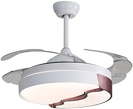 ACLBLK sadelik akrilik uzaktan kumanda fanı avize LED trikromatik karartma tavan vantilatörü lamba Modern ABS Fan